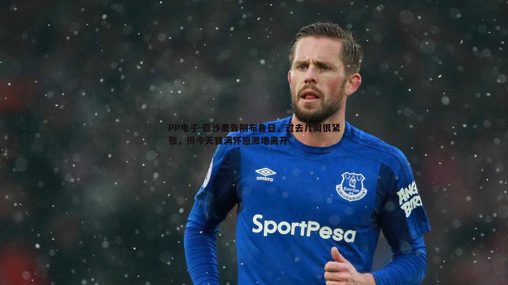 亚沙里告别布鲁日，过去几周很紧张，但今天我满怀感激地离开