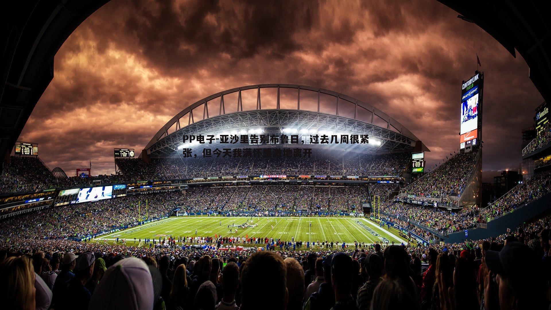 亚沙里告别布鲁日，过去几周很紧张，但今天我满怀感激地离开