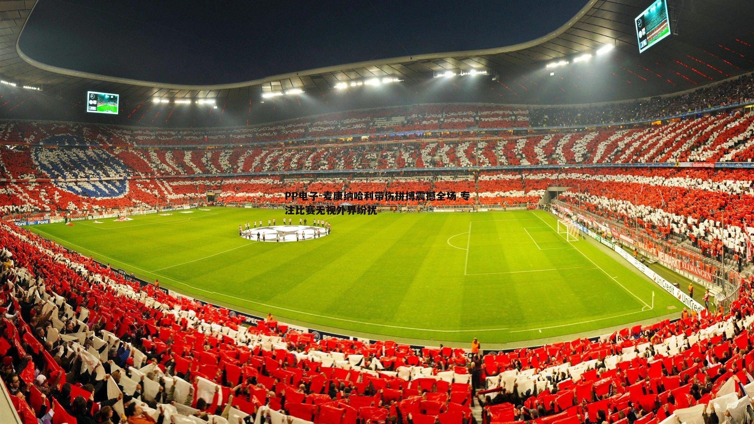 麦康纳哈利带伤拼搏震撼全场 专注比赛无视外界纷扰